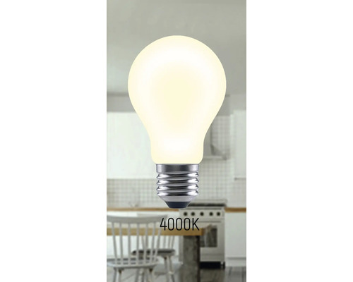 Žárovka s barvou světla 4000 kelvinů