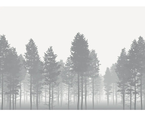 Ilustrace hustého lesa v mlze