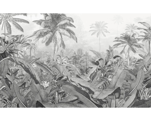 Ilustrace tapety tropického lesa s palmami a velkými listy.