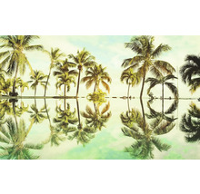 Palmové listy se zrcadlí ve vodě