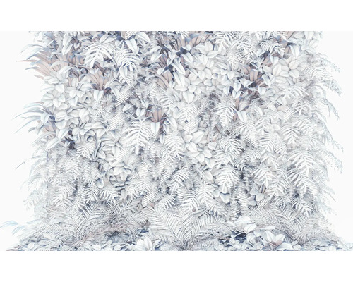 Dekorativní stěna rostlin s kapradinami a dalšími rostlinami