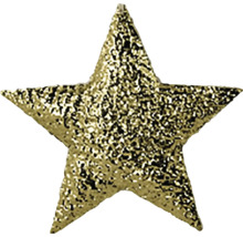 Třpytivá hvězda k dekoraci