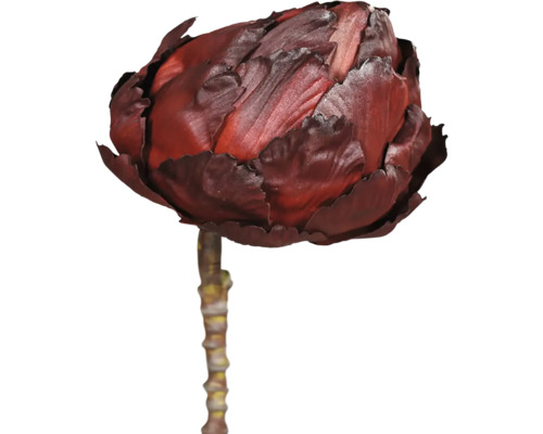 Umělá větev Artičok ARTICHOKE 30 cm hnědá Dekorativní umělá artyčok na stonku