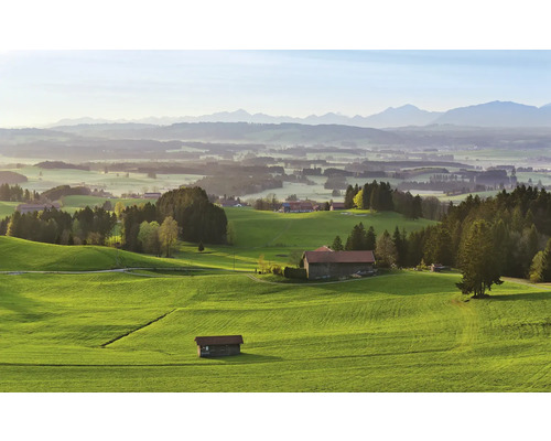 Krajina se zelenými kopci, farmami a horami v pozadí