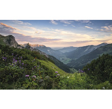 Horská krajina se zelenými svahy a kvetoucími rostlinami