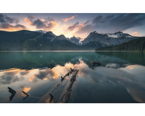 Horské jezero s kmeny stromů a horskou krajinou
