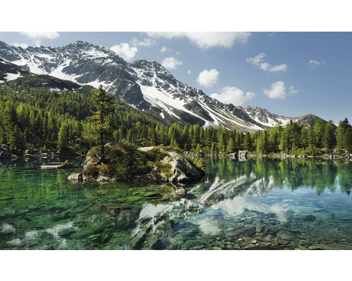 Horské jezero se stromy a zasněženými horami v pozadí
