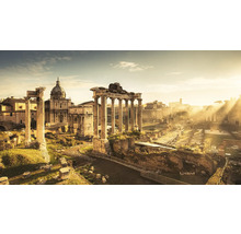 Pohled na Forum Romanum s ruinami a sloupy