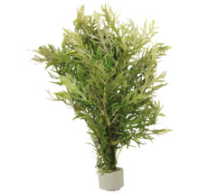 Umělá rostlina v květináči