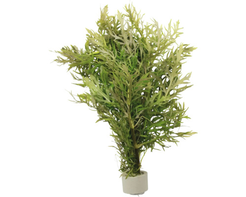 Umělá rostlina v květináči