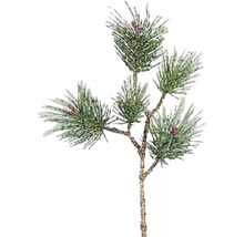 Dekorativní větev jedle s jehličím a šiškami