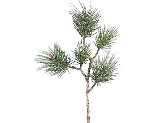 Dekorativní větev jedle s jehličím a šiškami