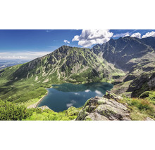 Horské jezero obklopené horami a vegetací