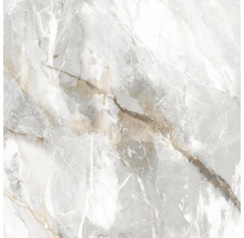 Mramorová dlaždice s přírodní kresbou