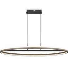 Oválné závěsné svítidlo s LED osvětlením