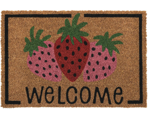 Rohožka s motivem jahod a nápisem Vítejte