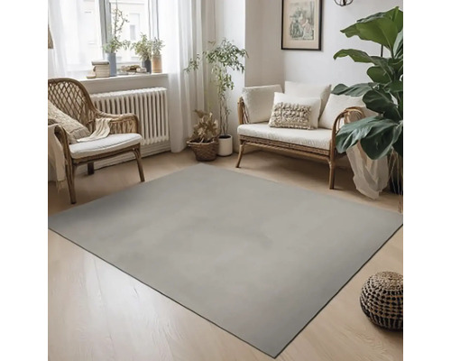 Interiérová scéna s šedým kobercem, ratanovými křesly a pokojovými rostlinami