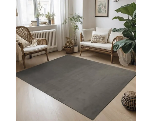 Interiérová scéna s šedým kobercem, proutěnými židlemi, proutěnou pohovkou a pokojovými rostlinami ve světlé místnosti.