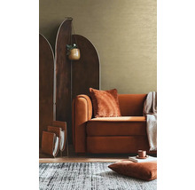 Obývací pokoj s hnědou pohovkou, děličem místnosti, kobercem a dekoracemi pro útulnou atmosféru