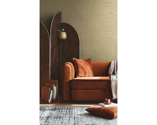 Obývací pokoj s hnědou pohovkou, děličem místnosti, kobercem a dekoracemi pro útulnou atmosféru