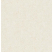 Textura omítkové plochy