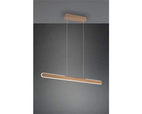 Moderní LED závěsné svítidlo do interiéru