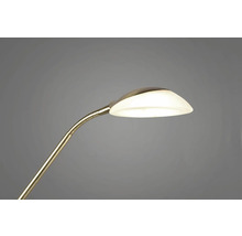 Stolní lampa s flexibilním ramenem a stínítkem