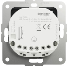 Zadní strana nabíječky USB Schneider Electric s 16 ampéry a 250 volty