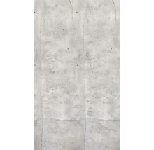 Detail šedé betonové stěny s prasklinami