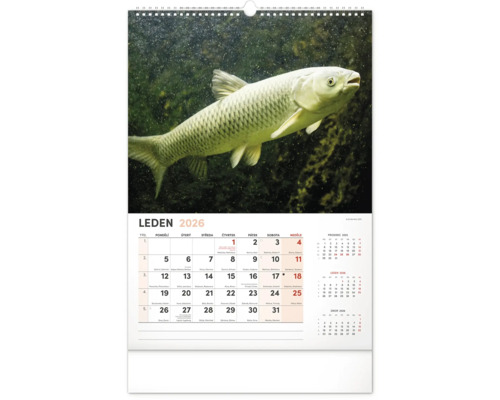 Nástěnný kalendář s motivem ryby a měsíčním přehledem na leden 2026