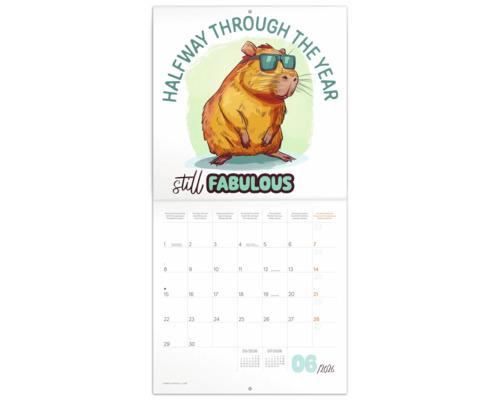 Nástěnný kalendář s ilustrací kapybary se slunečními brýlemi a nápisem Halfway through the Year still Fabulous