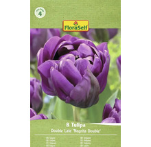 Balení 8 tulipánů odrůdy Double Late Negrita Double od FloraSelf