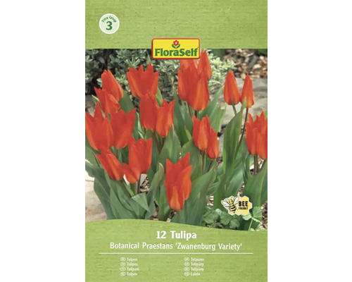 Balení tulipánů odrůdy Botanical Praestans Zwanenburg se symbolem šetrné k včelám