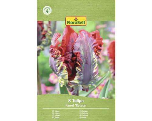 Balení tulipánů FloraSelf Parrot Rococo s osmi cibulkami