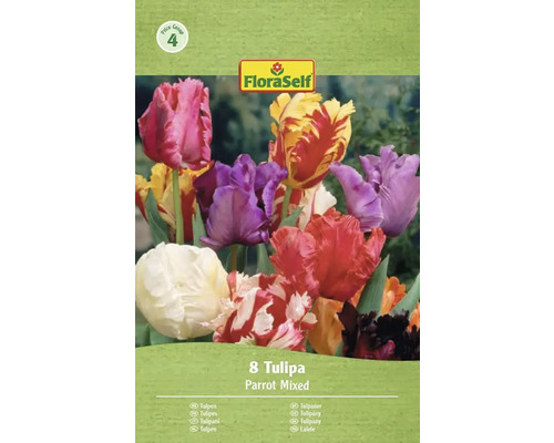 FloraSelf Balení 8 tulipánů Parrot, směs