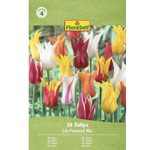 Balení FloraSelf Tulipány liliokvěté směsi