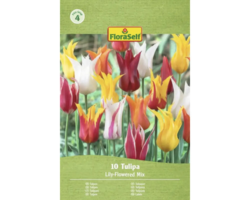 Balení FloraSelf Tulipány liliokvěté směsi