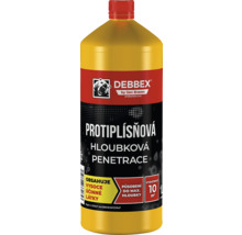 Debbex hloubkový penetrační nátěr proti plísním v lahvi