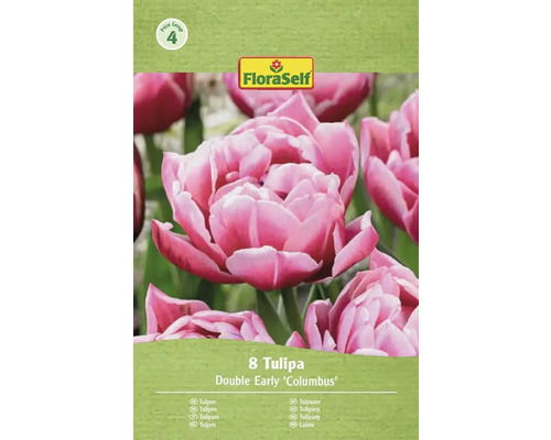 FloraSelf tulipány Double Early Columbus, 8 kusů