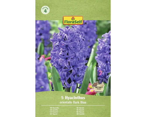 Balení 5 hyacintů orientalis Dark Blue značky FloraSelf