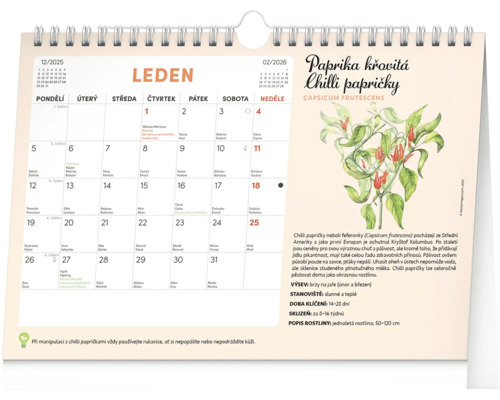 List kalendáře s měsíčním kalendářem a ilustrací chilli papriček