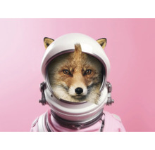 Liška s astronautskou helmou