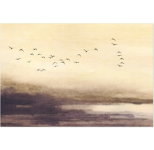 Ilustrace se hejnem ptáků před zataženou oblohou