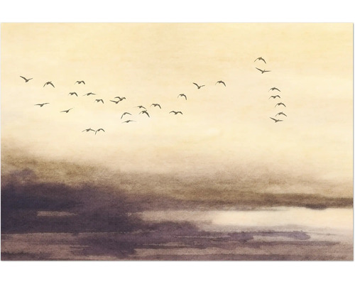 Ilustrace se hejnem ptáků před zataženou oblohou