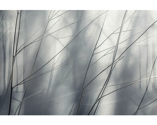 Ozdobné větve na rozmazaném pozadí