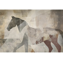 Abstraktní obraz koně na stěnu pro interiérový design