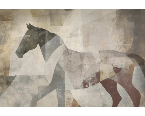 Abstraktní obraz koně na stěnu pro interiérový design