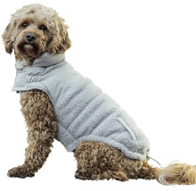 Pes s oblečením pro psy