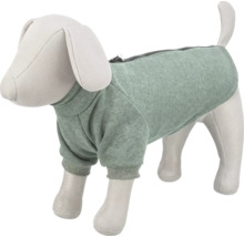 Oblečení pro psy se zipem na psím modelu