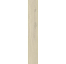 Dřevěný panel s kresbou dřeva